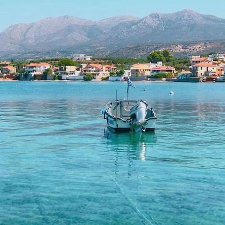 Κατοικία 80 Τ.Μ. Δίπλα Από Την Θάλασσα Στην Ελιά. Elia  Екстер'єр фото